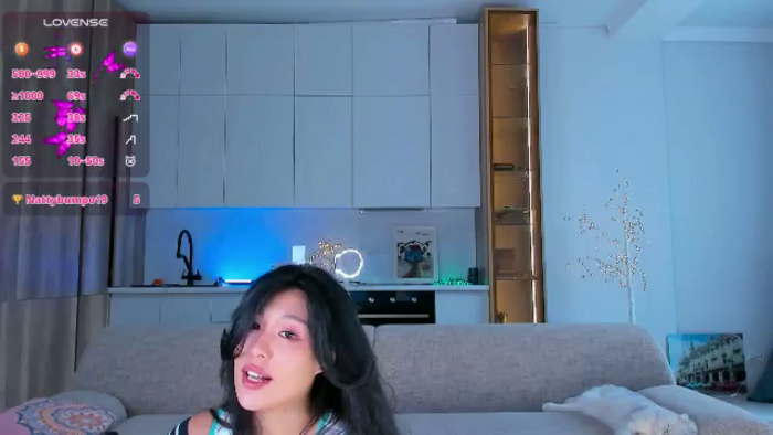 OnlyCats