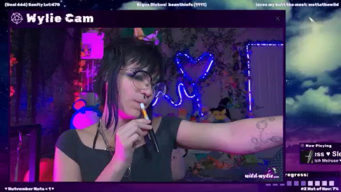 WildWyliePM