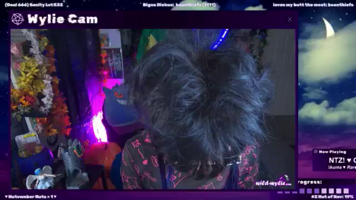 WildWyliePM