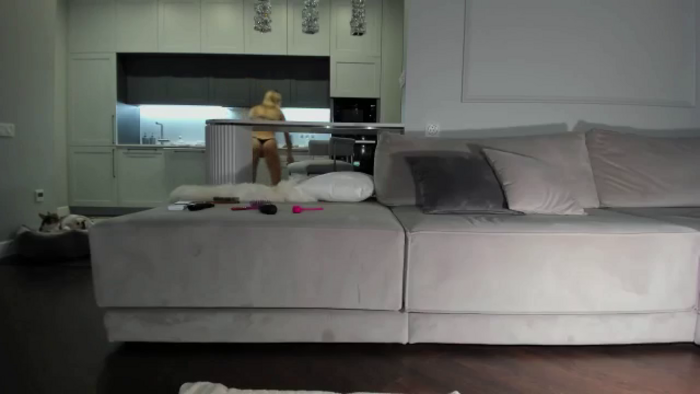 Smart_Cat