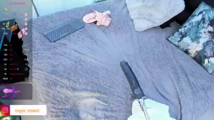 Angie_Roses