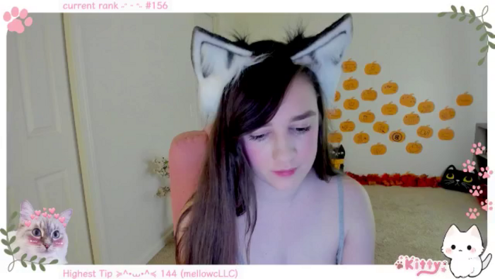 Kitty