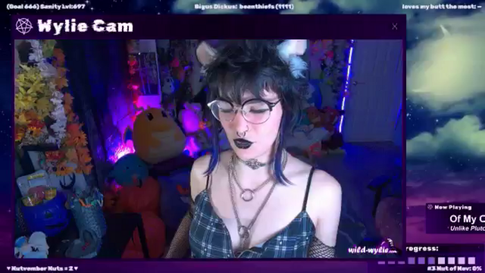 WildWyliePM