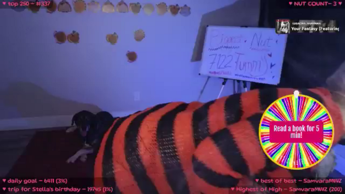 MollyMeowz