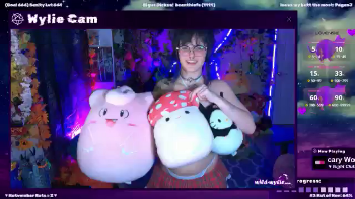 WildWyliePM