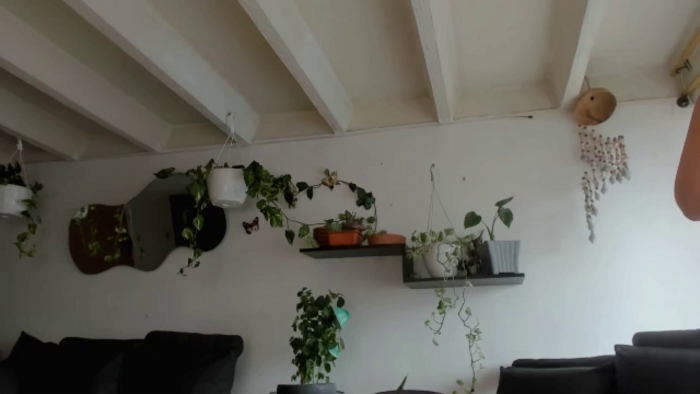 Abbyada_