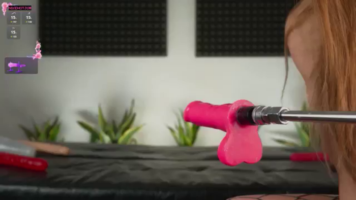 NiceHotJob