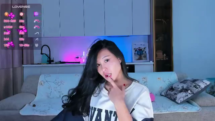 OnlyCats