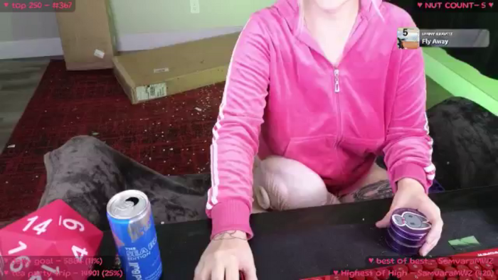 MollyMeowz