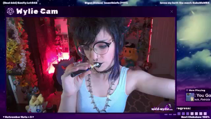 WildWyliePM