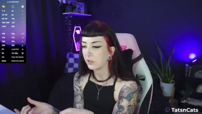 TatsnCats