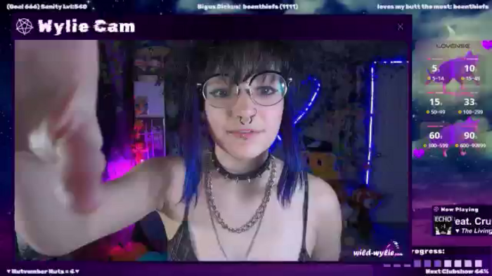 WildWyliePM