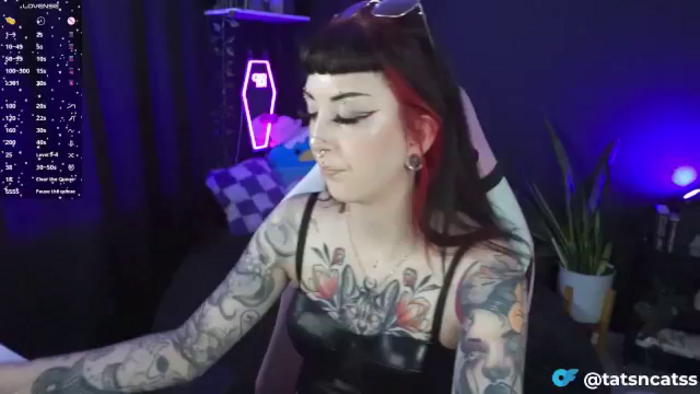 TatsnCats