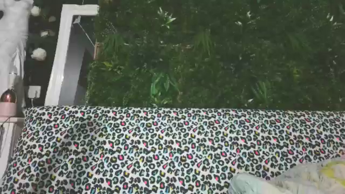 Vivienne__Fox