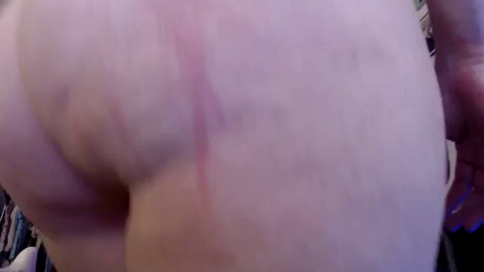 kittylacee