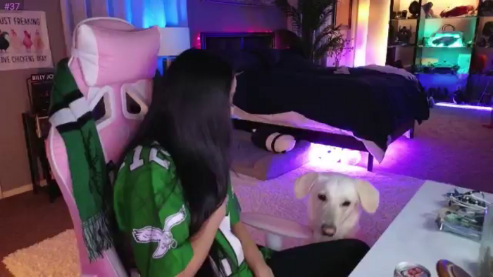LexxiStar