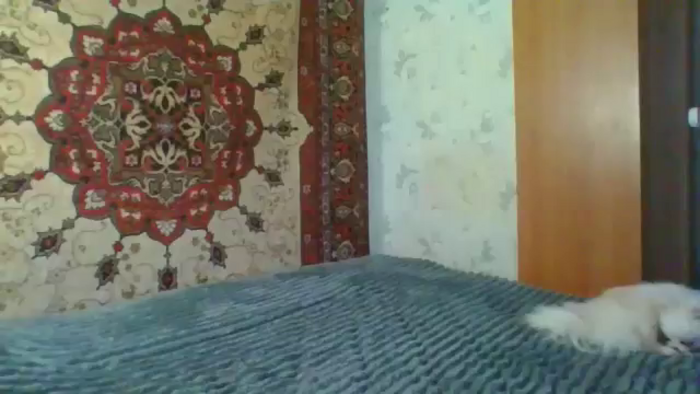 Candy_UA