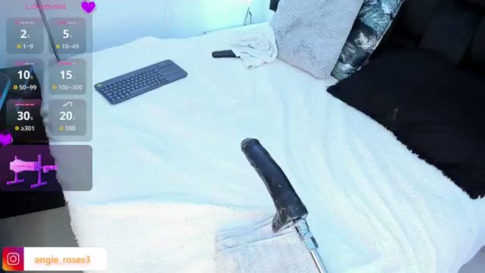Angie_Roses