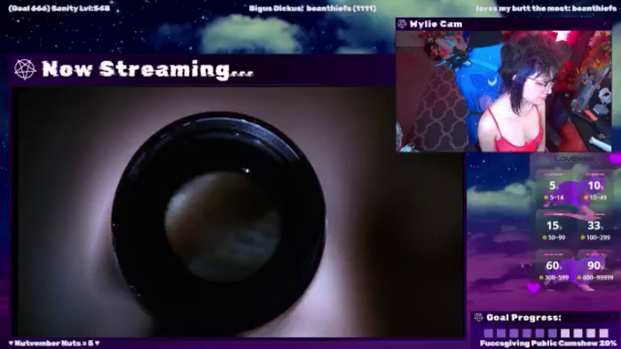 WildWyliePM