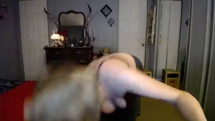 Classic_Daisy
