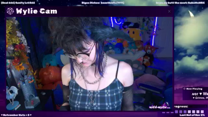 WildWyliePM