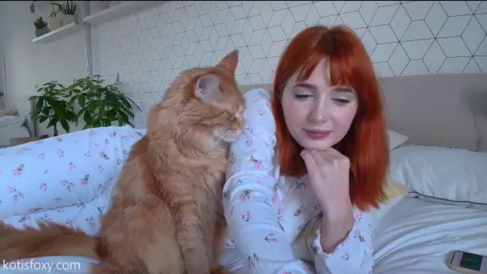 KotisFoxy