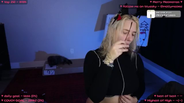 MollyMeowz