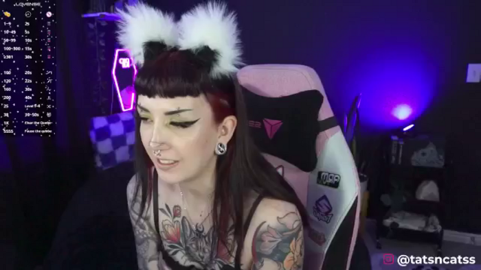 TatsnCats
