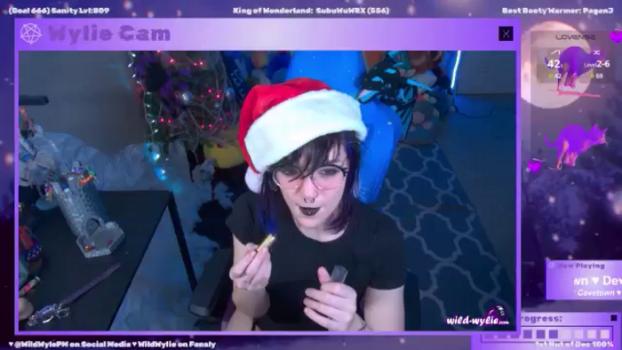 WildWyliePM