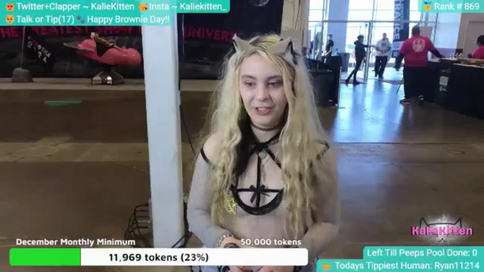 KalieKitten