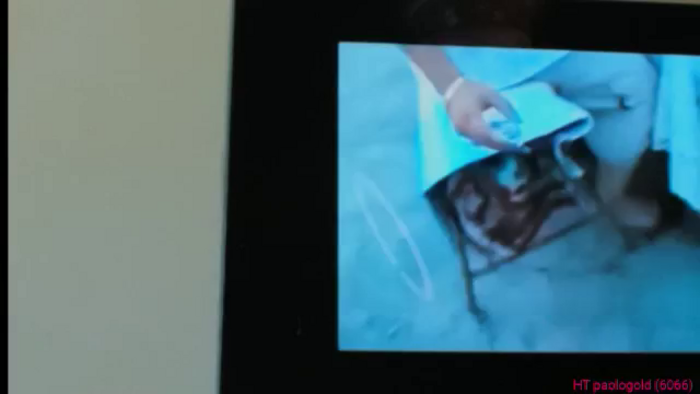 elissa25_