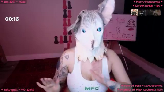 MollyMeowz