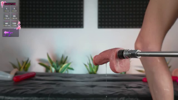 NiceHotJob
