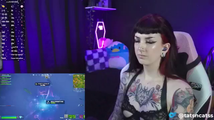 TatsnCats