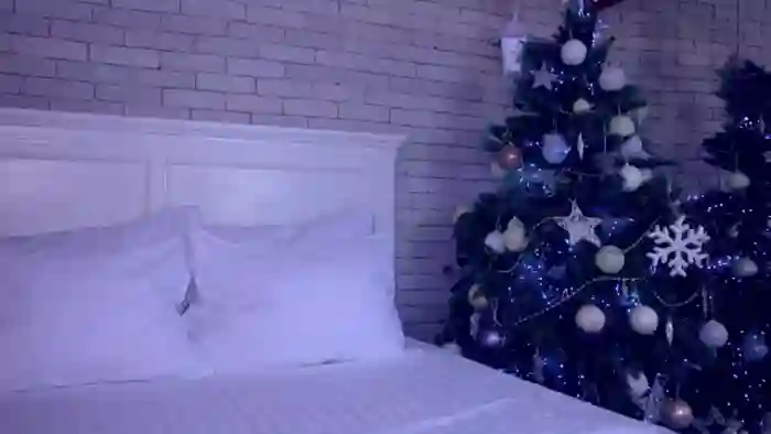 2024/12/12/mfc-anabella_star-04-50-34