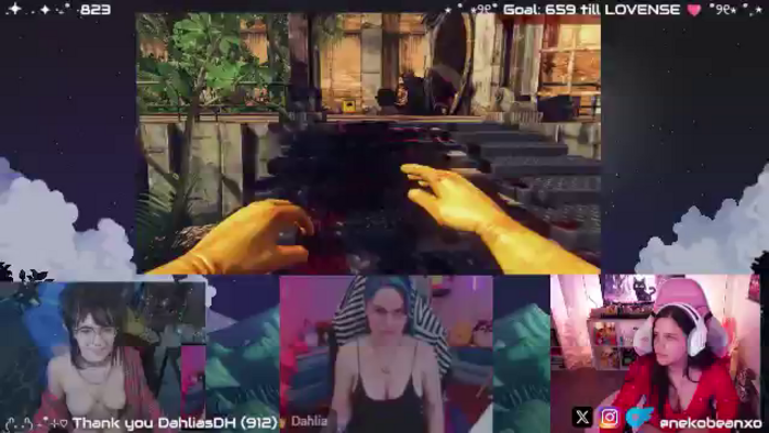 Nekobeanxo