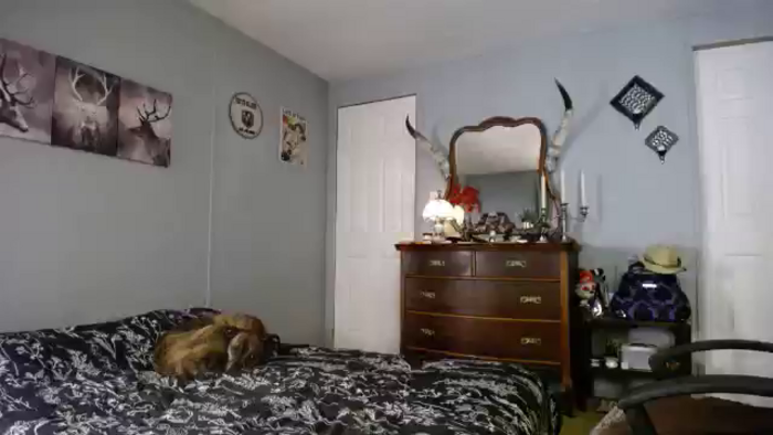 Classic_Daisy