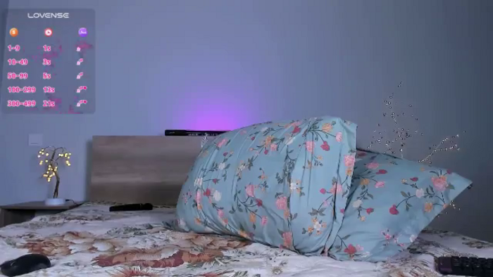 OnlyCats