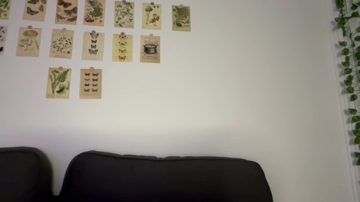 mayflowwer