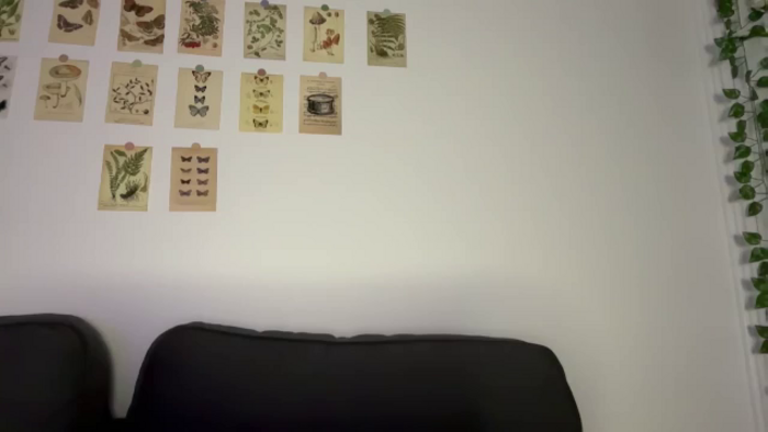 mayflowwer