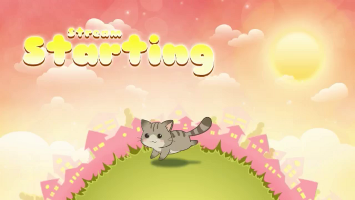 Kitty