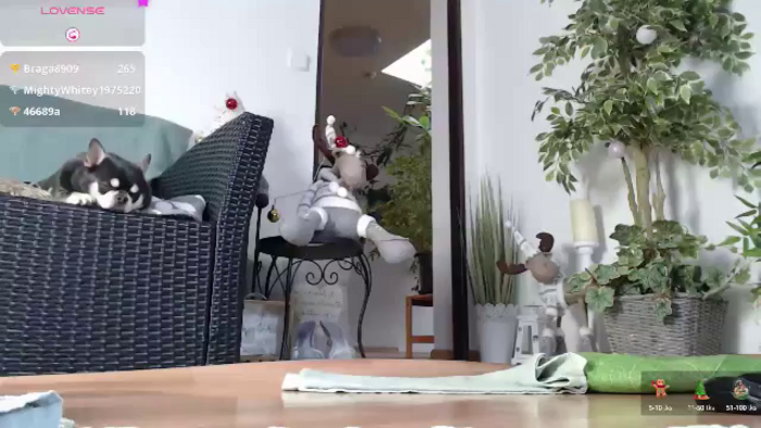 Squirt_Queen_
