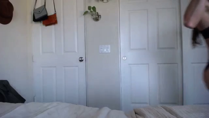 Cutelittlefox