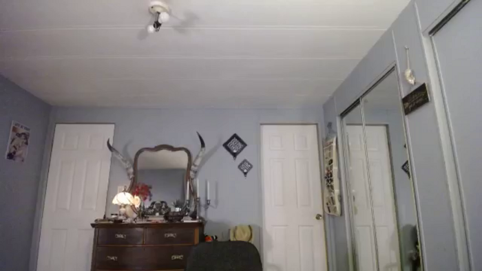 Classic_Daisy