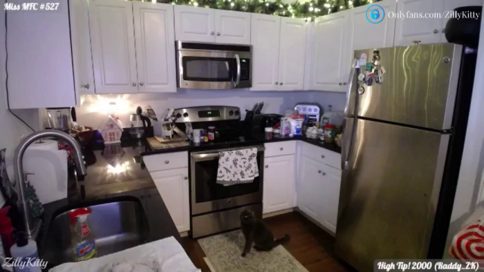ZillyKitty