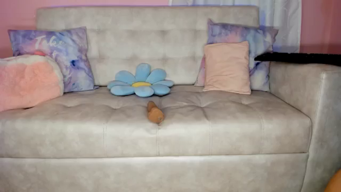 Tiny_Cora