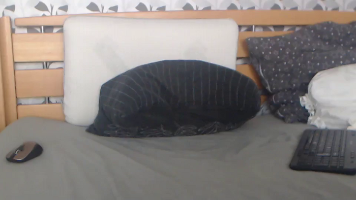 Kelywild
