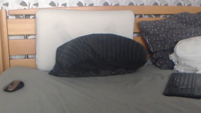Kelywild