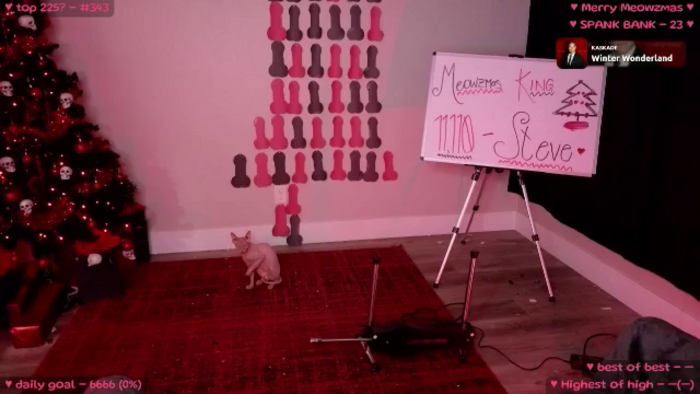 MollyMeowz