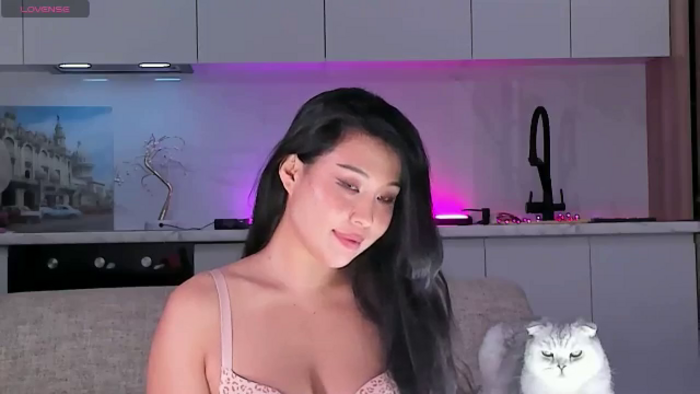 OnlyCats